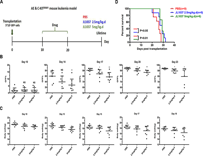 JL1037 prolongs survival of leukemia mice.