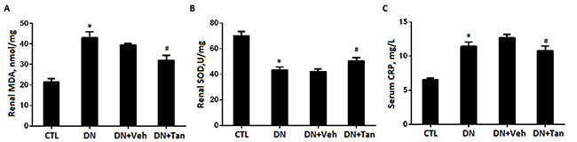 Tanshinone IIA inhibited the renal oxidative stress markers and serum CRP in DN rats.