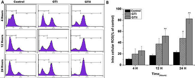 Comparison of ROS production in bMECs after infection of GTI and GTII by flow cytometry at 4 h, 12 h and 24 h.