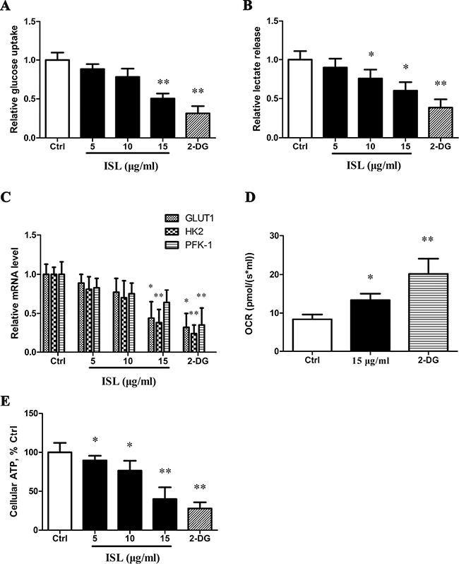 ISL decreased glycolysis and induces ATP depletion.