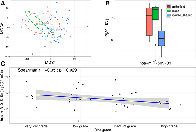 miR-509-3p and miR-215-5p are associated with clinical characteristics of GIST.