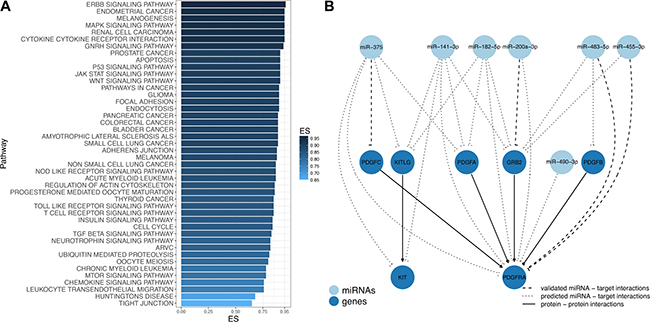 Differentially expressed miRNAs are involved in GIST-associated pathways.