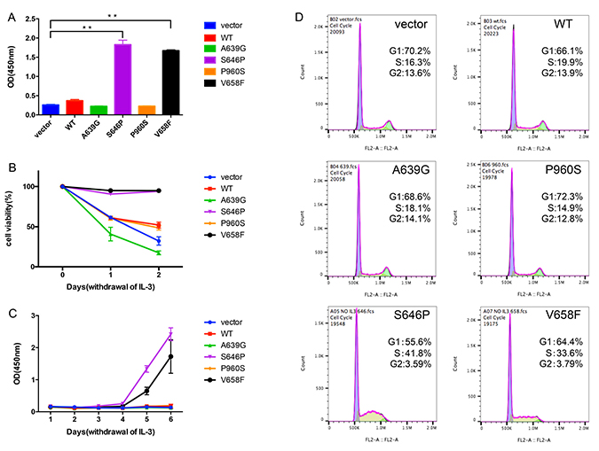 JAK1 S646P mutation drives IL-3-independent growth of BaF3 cells.