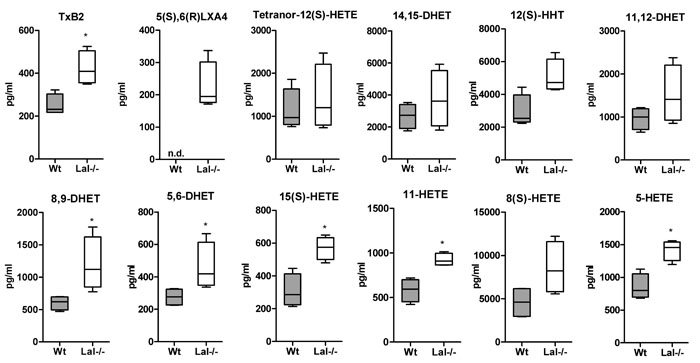 Increased eicosanoid concentrations in plasma of Lal-/- mice.