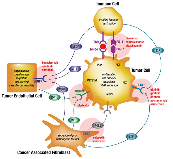 Simplified model of preventing drug resistances by simultaneous targeting of interdependent signaling in the cellular tumorigenic network of NSCLC tumors using already marketed drugs.