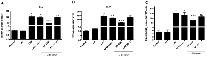 The anti-inflammatory effect of CSD peptides on LPS-stimulated alveolar macrophages.