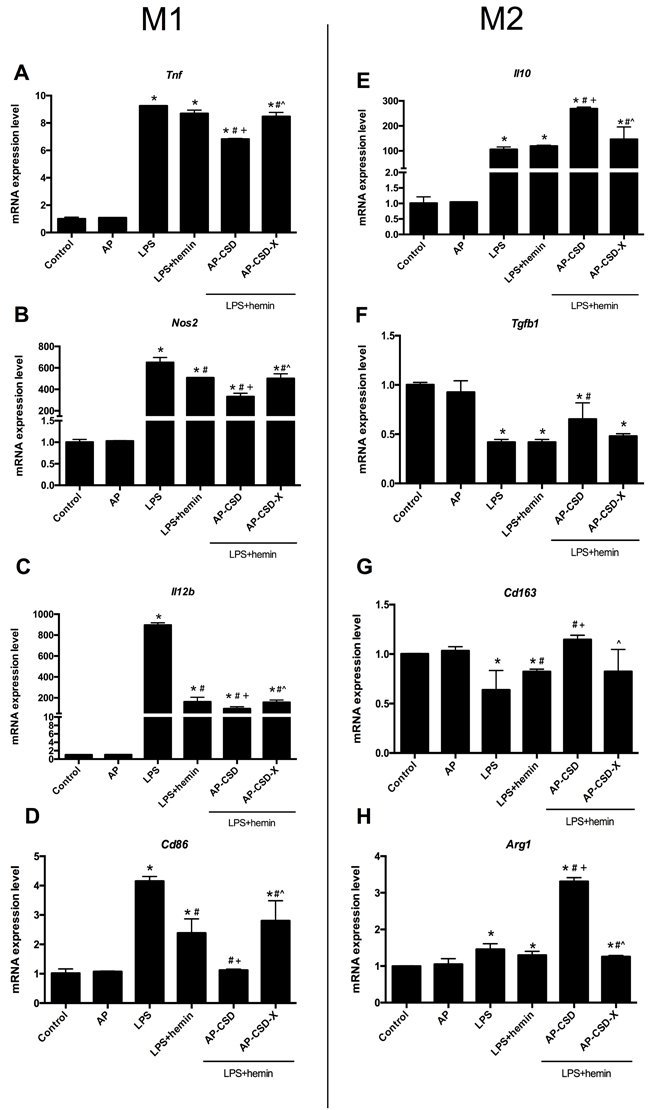 CSD peptides shifted alveolar macrophages polarization toward M2 phenotype.