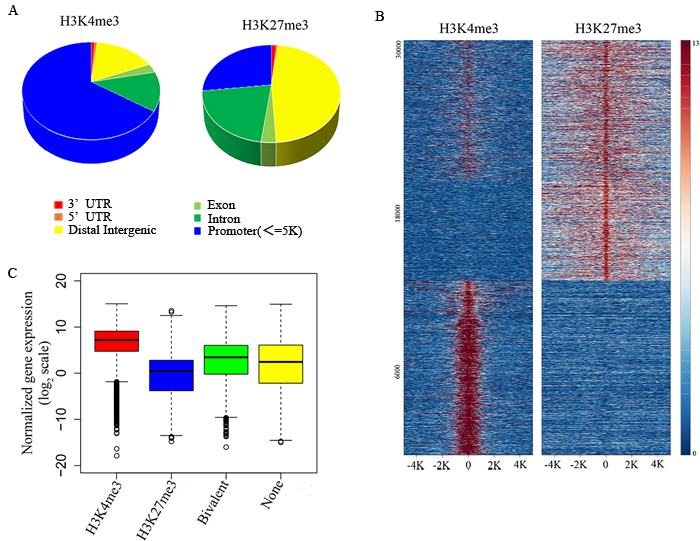 Identifying the relationship between histone modification states and gene expression levels in resting NK cells.