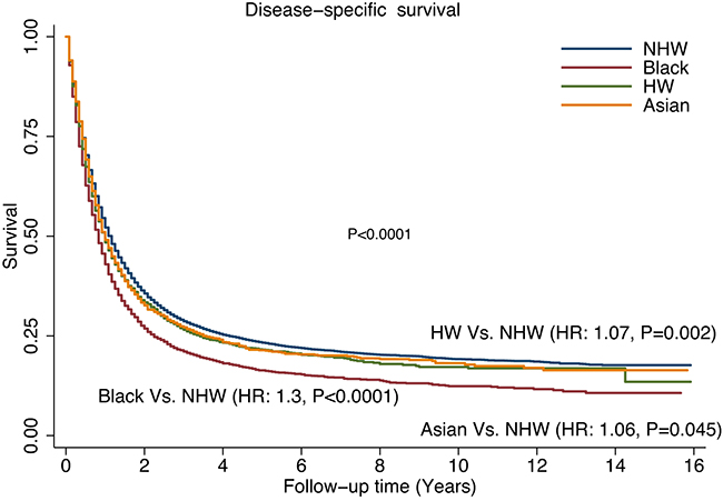Comparison of disease-specific survival (DSS) rates by different racial/ethnic groups.