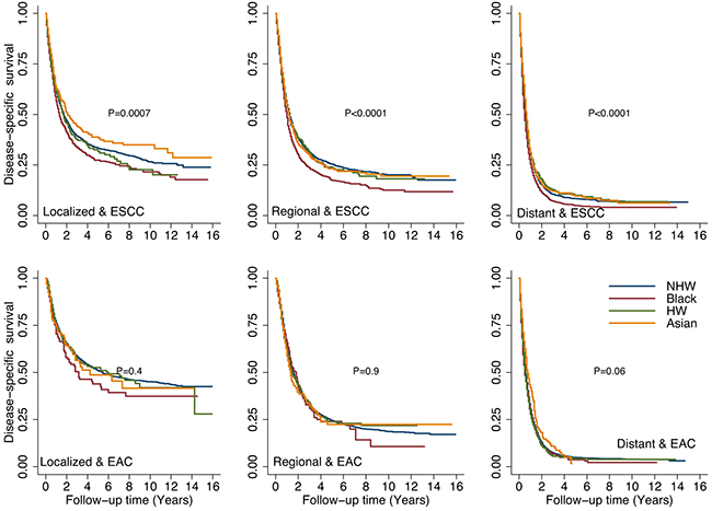 Comparison of disease-specific survival (DSS) rates by different racial/ethnic groups adjusted by stage and tumor histology.