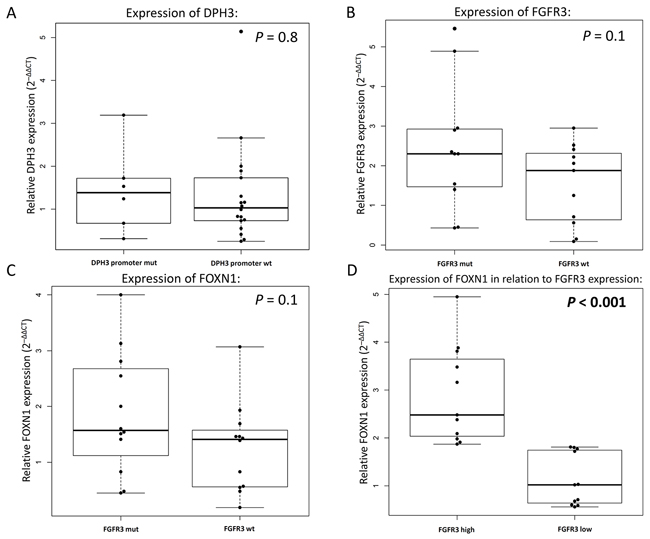 Relative gene expression in seborrheic keratosis measured by quantitative real-time PCR.