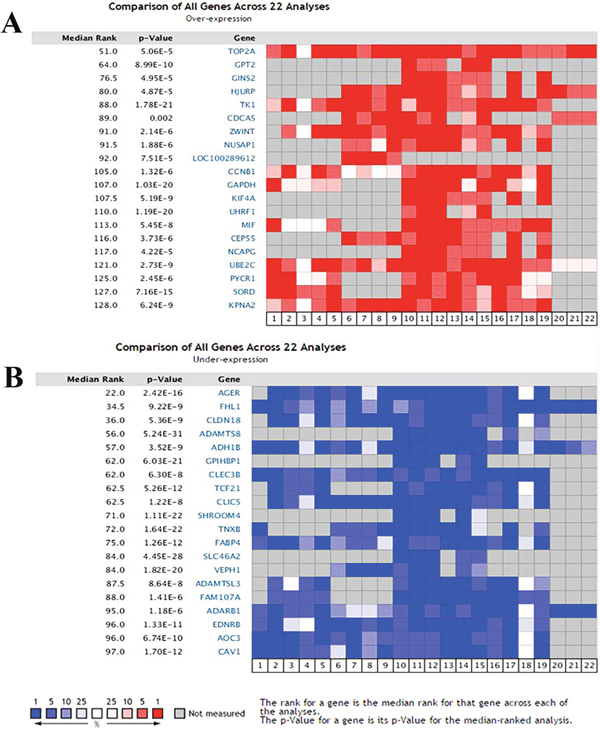 Transcriptional heat map of the top 20 over- and underexpressed genes in lung cancer samples compared with the normal samples through Oncomine analysis.