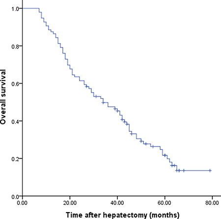 Cumulative overall survival for patients who underwent resection for hepatic metastasis from gastric cancer.