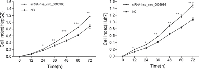 Growth curves of the HepG2 and Huh7 cell lines following by hsa_circ_0005986 knockdown.