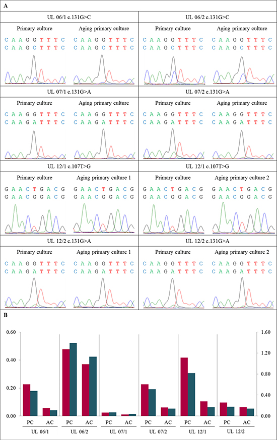 Further disappearance of MED12-mutated cells also occurred in &#x201C;aging&#x201D; primary cultures.