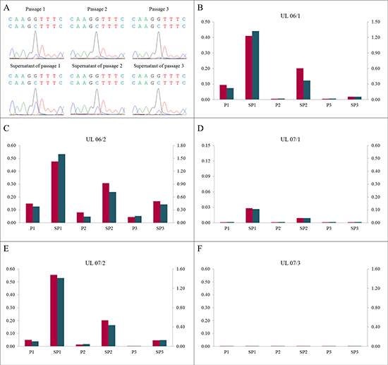 A high proportion of mutated cells in the supernatant of corresponding passages.