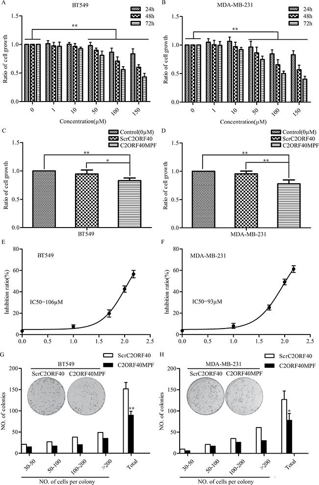 The effect of C2ORF40MPF on the growth of human breast cancer cells.