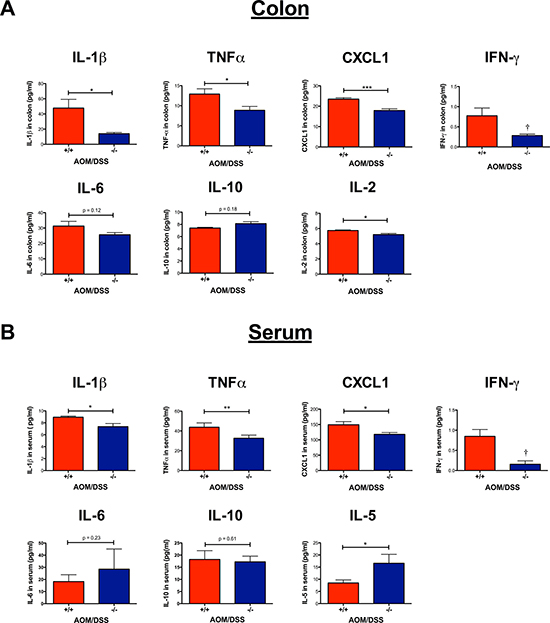 Effect of CysLT1R on proinflammatory mediators detected in AOM/DSS colon and serum.