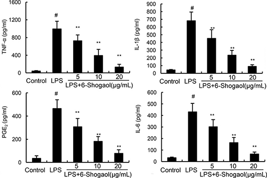 Effects of 6-Shogaol on LPS-induced TNF-&#x03B1;, IL-1&#x00DF;, IL-6 and PGE2 production.