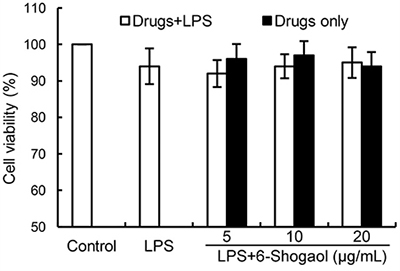 Effects of 6-Shogaol on the cell viability of BV2 microglial cells.