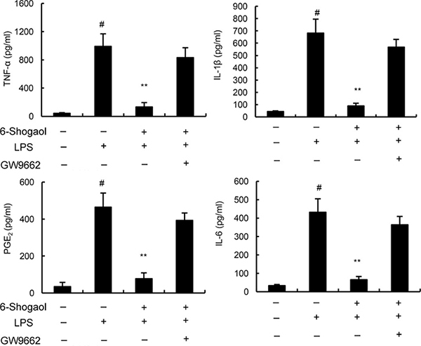 Effects of PPAR-&#x03B3; inhibitor GW9662 on the anti-inflammatory effects of 6-Shogaol.