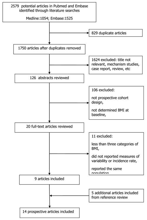 Flow chart of the study selection.