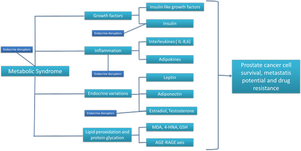 Putative relations among metabolic syndrome, endocrine disruptors, growth factors, inflammation, lipid/protein chemical modifications and prostate cancer biology.