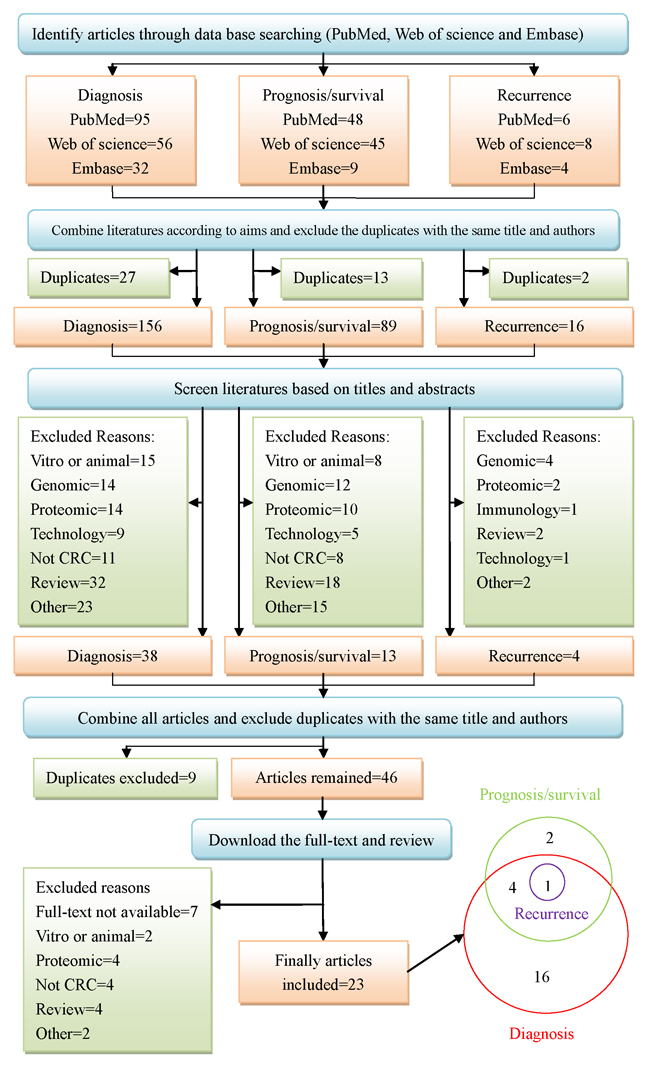 Systematic search and selection strategy.