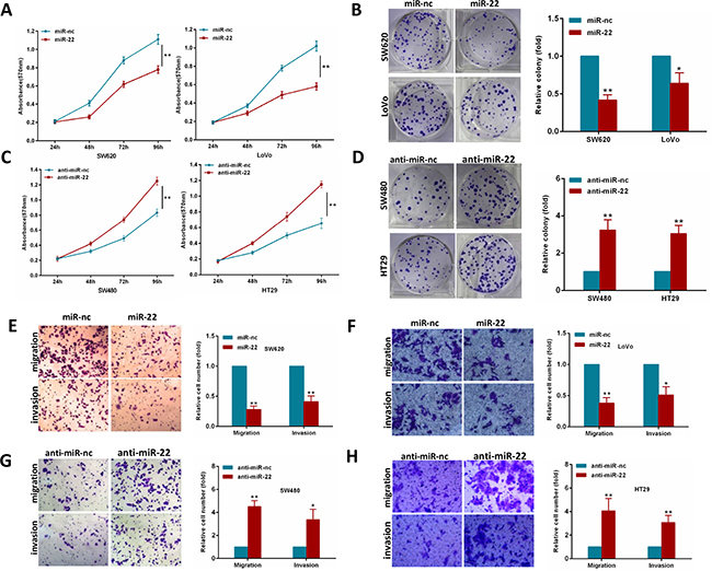 MiR-22 modulates CRC cell proliferation, colony formation, migration and invasion.