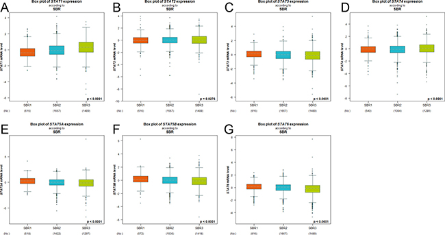 The relationship between mRNA expression of STAT factors and Scarff Bloom &#x0026; Richardson grade status (SBR).