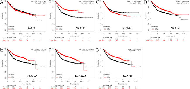 The prognostic value of mRNA level of STAT factors in BC patients (RFS in Kaplan-Meier plotter).