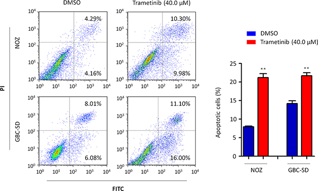 Induction of GBC cell apoptosis by trametinib.