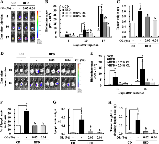 OL suppresses HFD-stimulated tumor growth and lymph node (LN) metastasis in C57BL/6 mice injected with B16F10 cells.