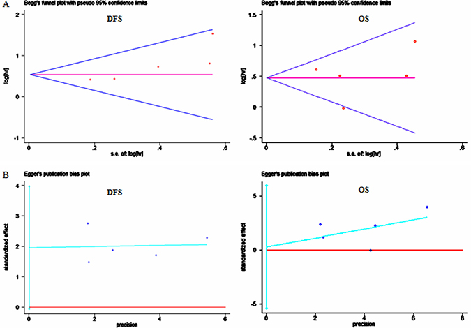 Analyses of publication bias for the relationships between PTEN loss and survival.