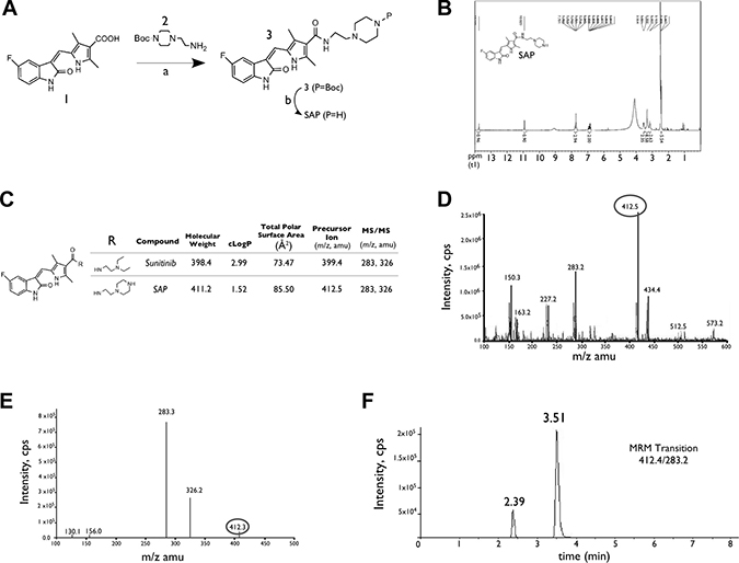 Synthesis and characterization of SAP.