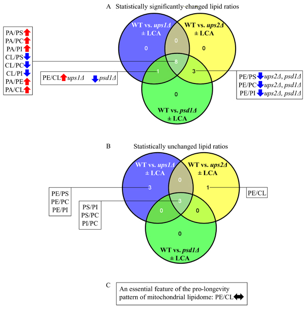 Venn diagrams showing a comparison of the effects of the