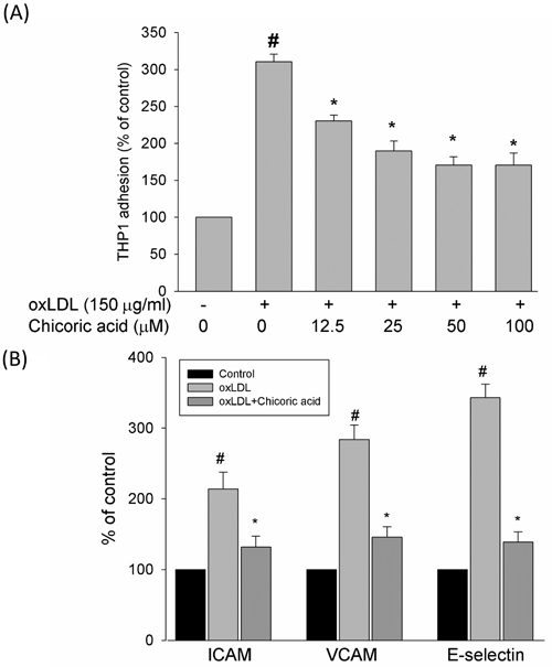 Effects of chicoric acid on oxLDL-induced adhesiveness of HUVECs to THP-1 monocytic cells and adhesion molecule expression.