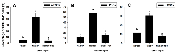 Changes in PDGFRA population in PSCs following BMP4 and FBS-induced differentiation.