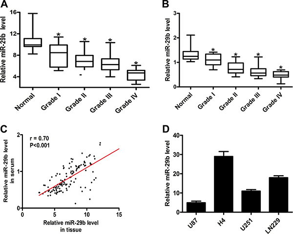 MiR-29b was down-regulated in glioma, detected by real-time PCR.