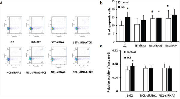 SET and nucleolin siRNAs attenuate TCE-induced apoptosis in human liver cells.