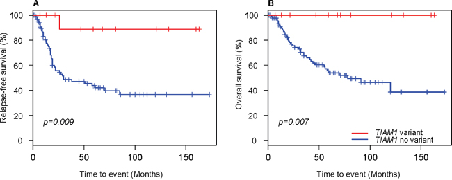 Kaplan&#x2013;Meier curves for neuroblastoma patients with and without TIAM1 variants.