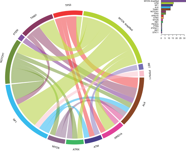 Circos diagram showing concomitantly mutated genes and/or MYCN amplification.