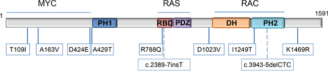 Location of TIAM1 variants.