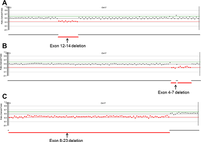 Copy number analysis plots from NextGENe software.