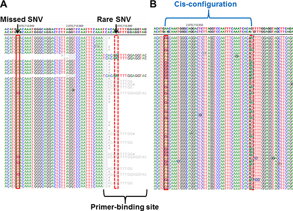 A false-negative variant from a previous study [14] using the MiSeq platform and S5 XL sequencing.