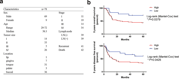 Overexpression of LSD1 is linked to poor outcome in oral cancer.