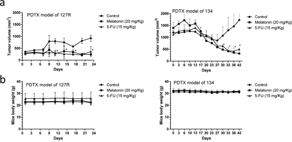 Melatonin inhibited tumor growth in LSD1-overexpressing oral cancer PDTX models.