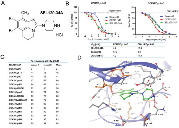 Structure and activity of SEL120-34A.