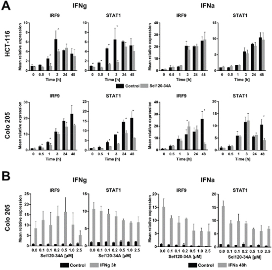 SEL120-34A inhibits interferon- induced genes expression in a dose dependent manner.
