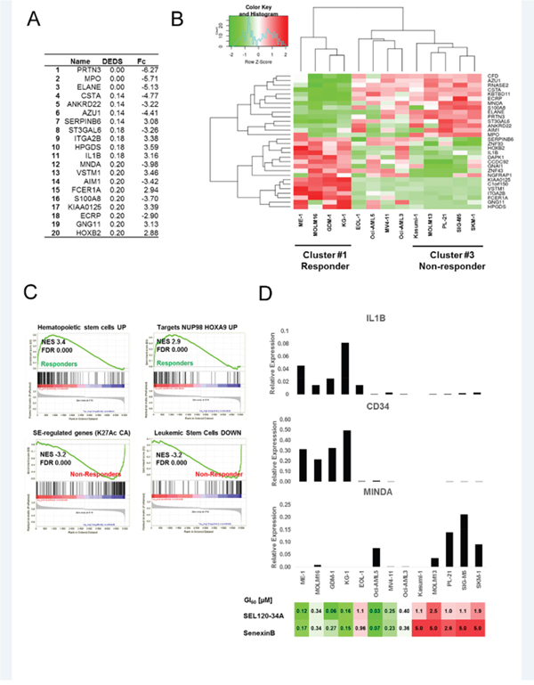 Identifying discriminating genes that can be used for predicting response to CDK8 inhibitors.